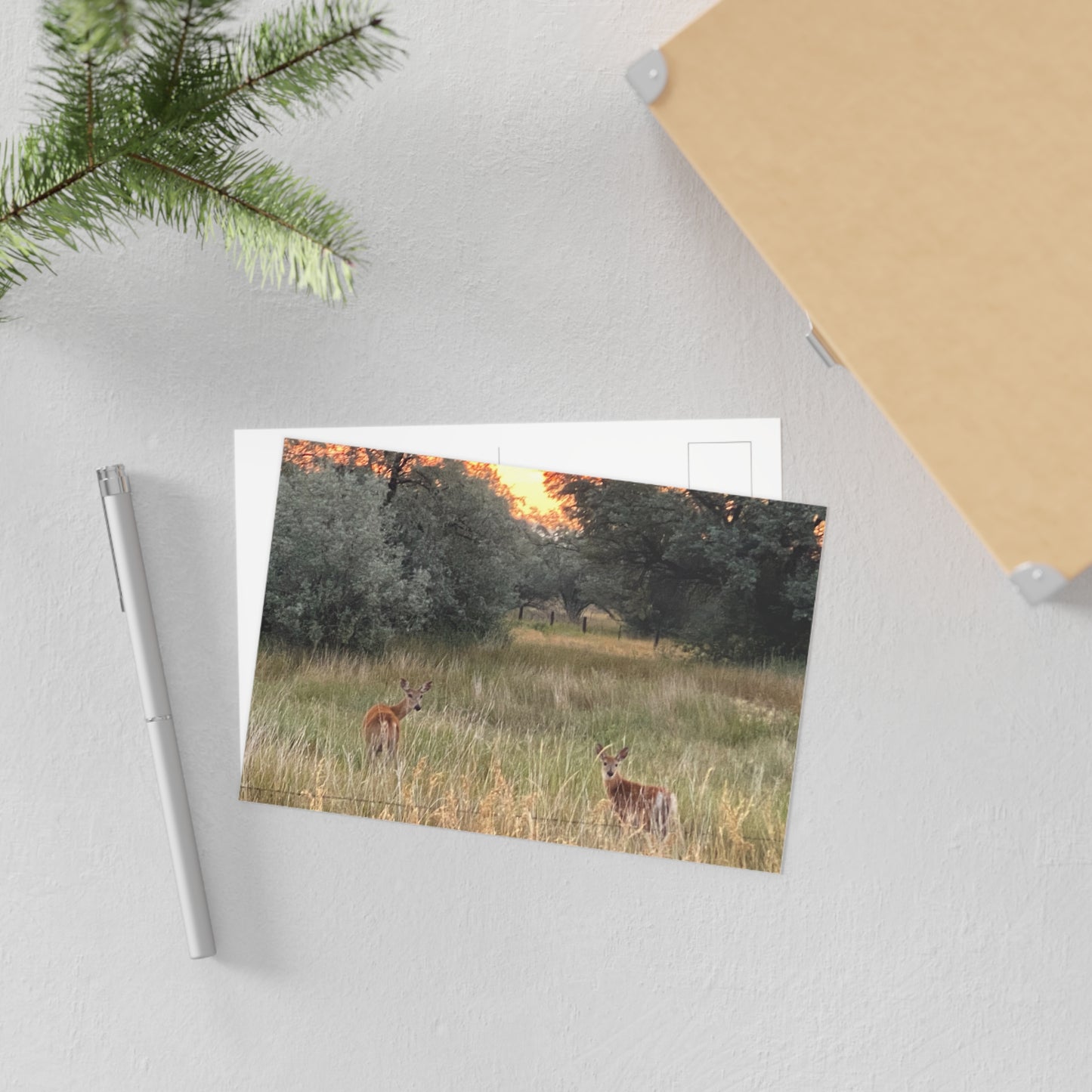 Fine Art Postcards