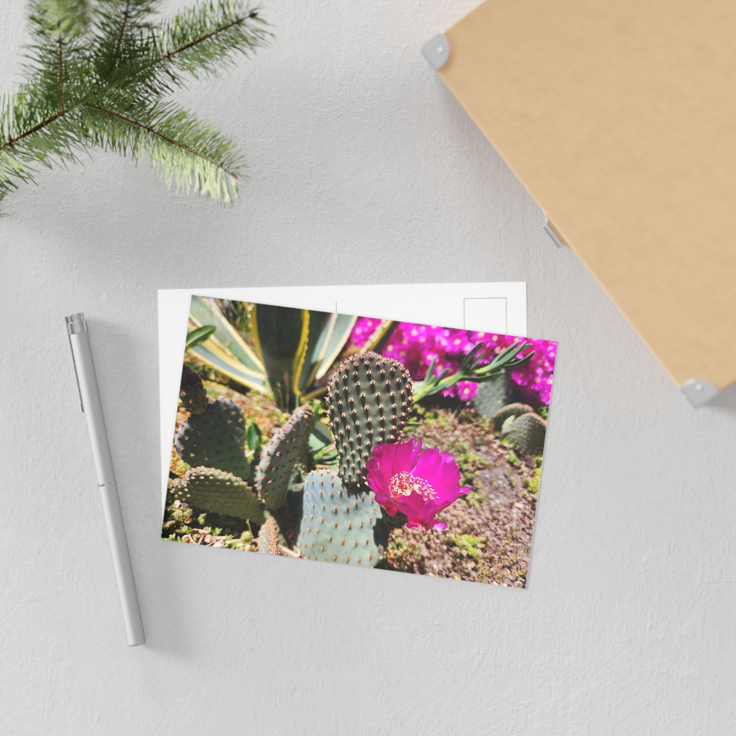 Fine Art Postcards