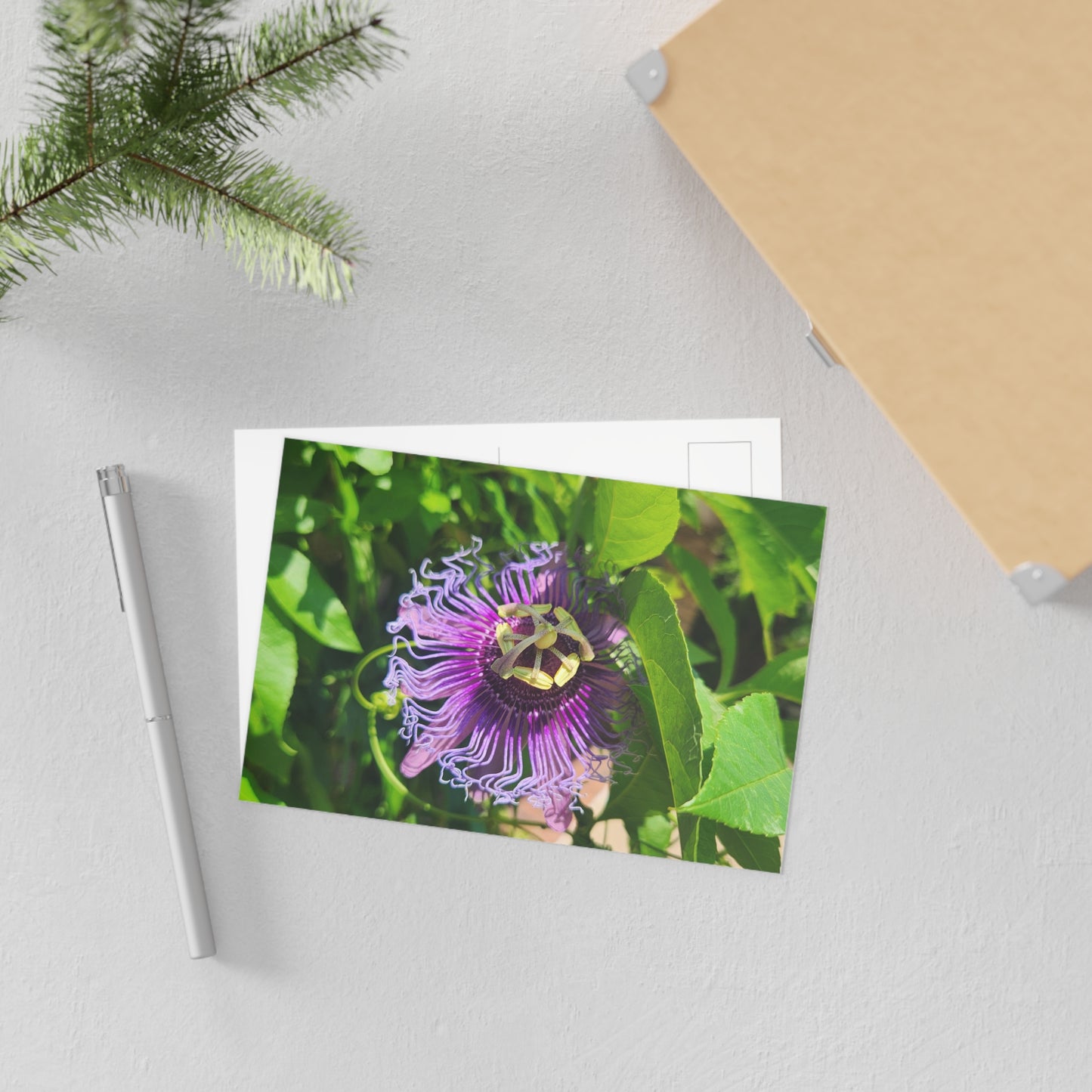 Fine Art Postcards