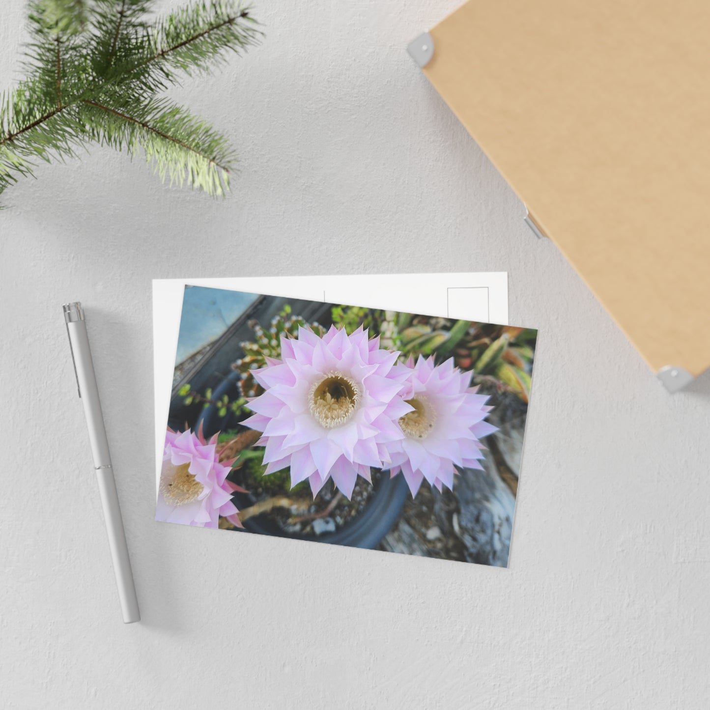 Fine Art Postcards